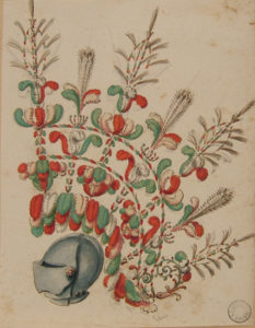 Elmo piumato